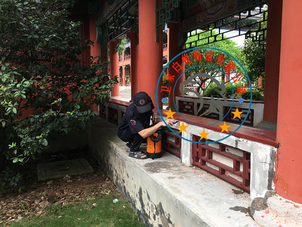 南海九江白蚁防治中心-除杀白蚁-九江灭治白蚁防治所公司<您身边的白蚁专家>