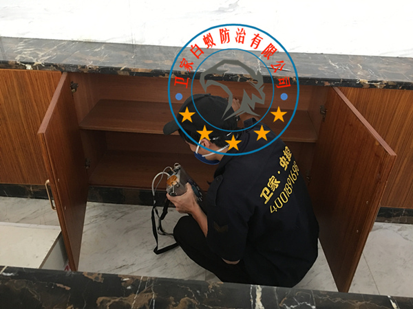 南海丹灶白蚁防治公司-丹灶灭治白蚁中心<您身边的白蚁专家>