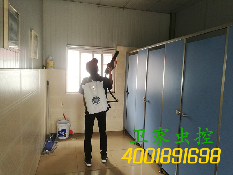 南海松岗除四害公司-灭蚊子杀蟑螂-松岗除苍蝇灭鼠公司《虫害风险防控管理专家》